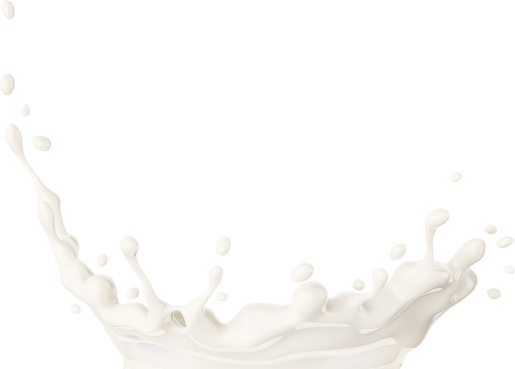 Milk or yoghurt splash crown. Dairy product PNG